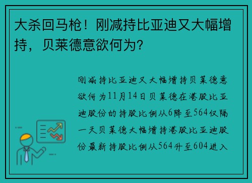 大杀回马枪！刚减持比亚迪又大幅增持，贝莱德意欲何为？ 